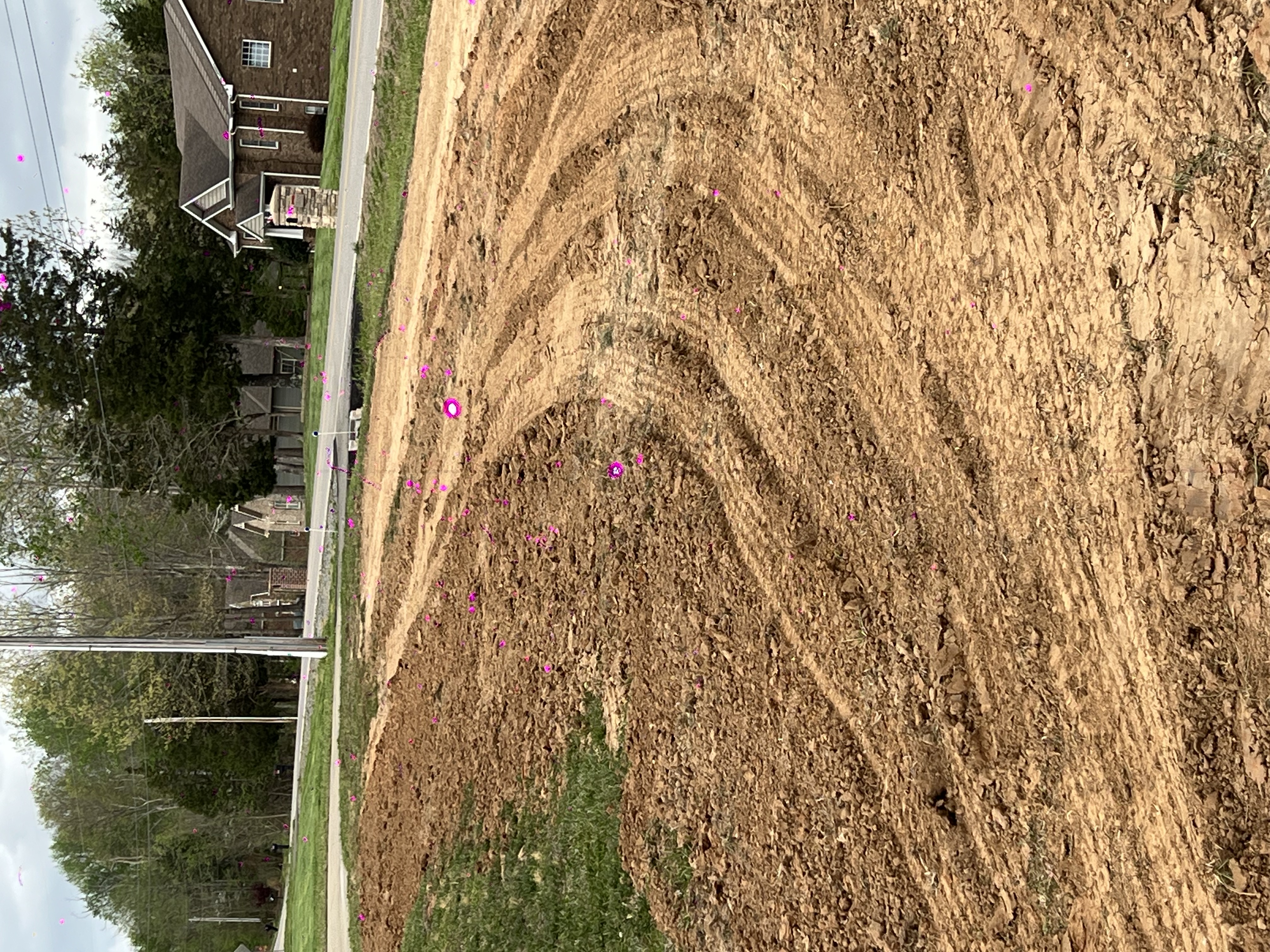 Professional land clearing equipment on a cleared property