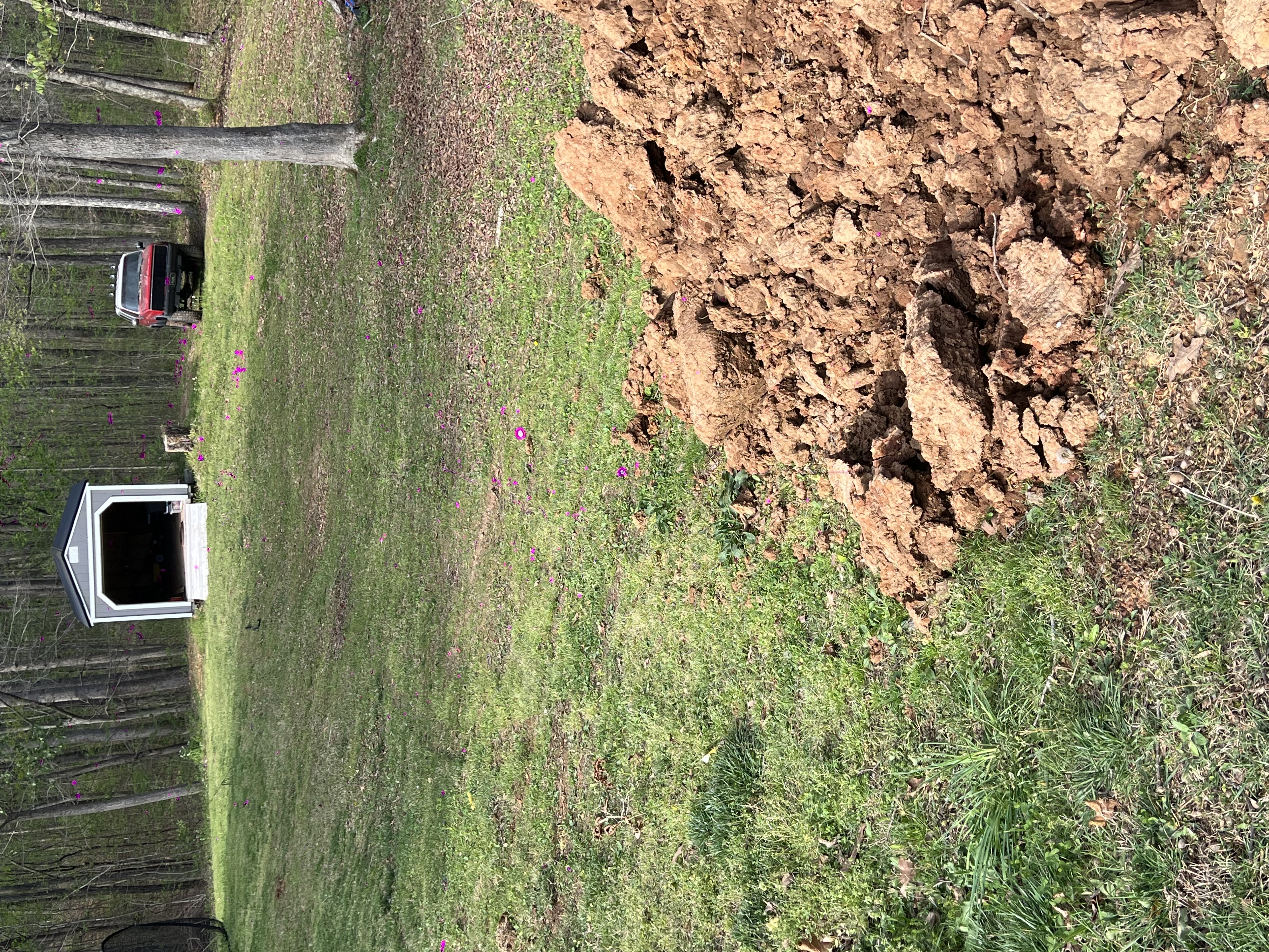 Residential land clearing project with heavy equipment