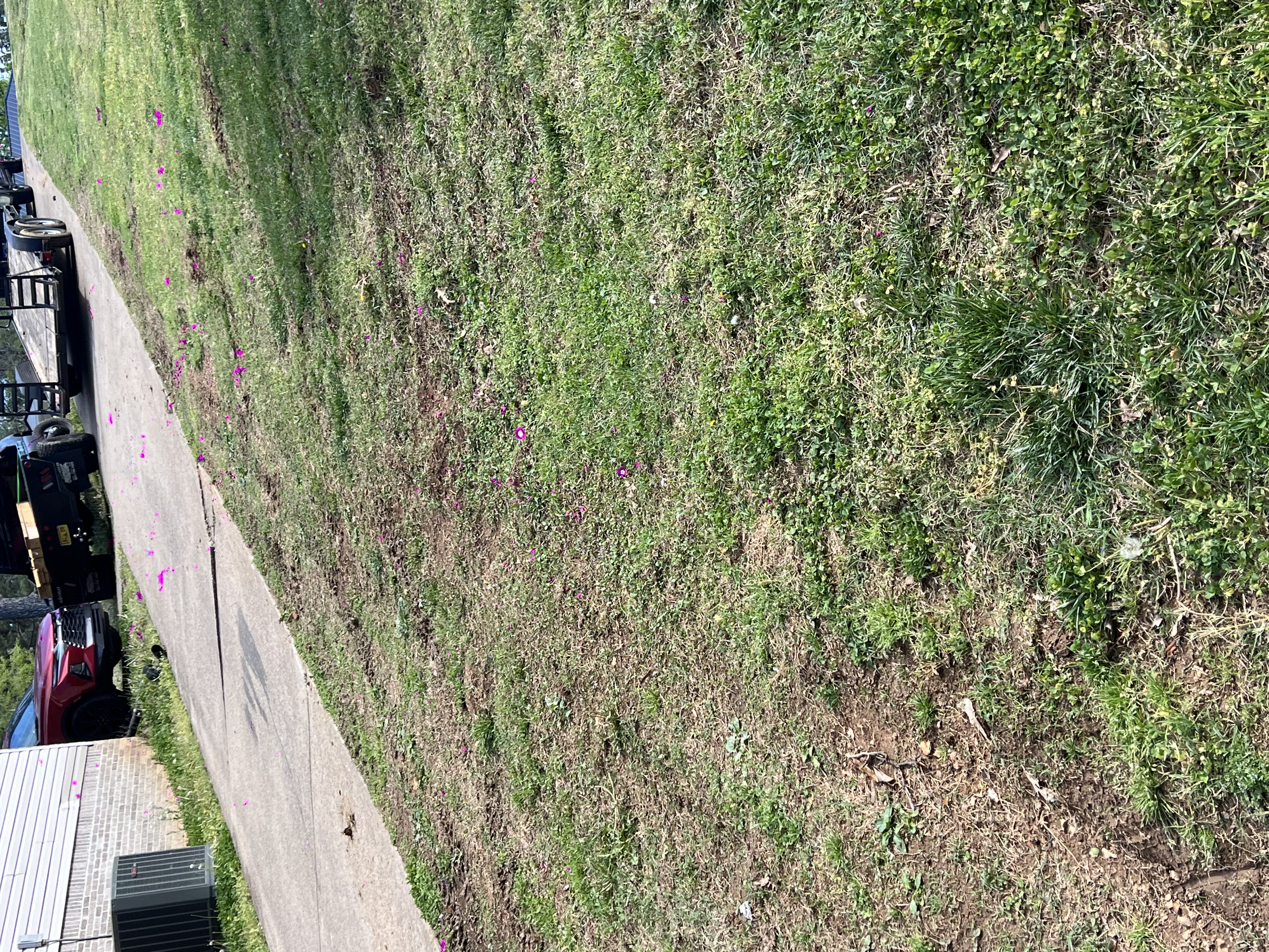 Commercial site preparation for new development